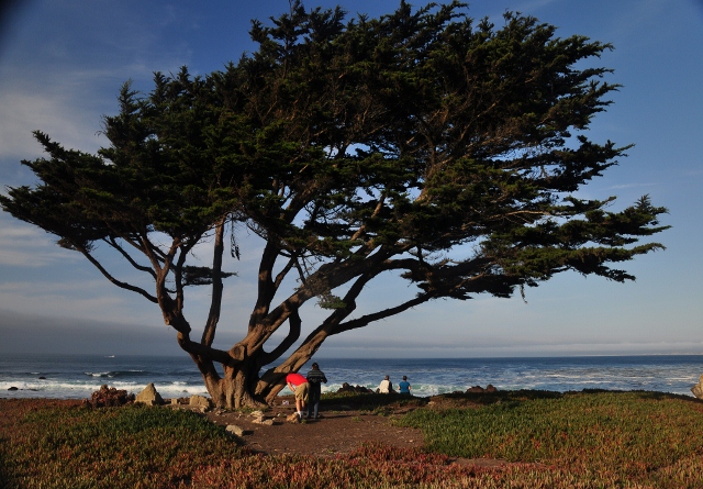 Pacific Grove